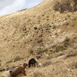 Al-Bassah Beach - Jableh (Jablah)
