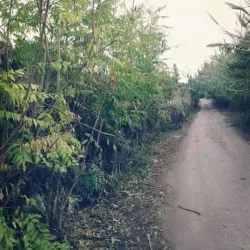 Al-Bassah Beach - Jableh (Jablah)