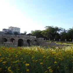 Roman Aqueduct Ruins - Jableh (Jablah)