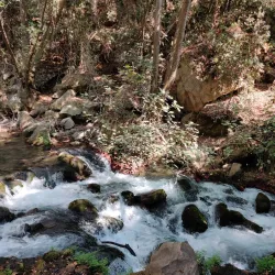 Surrounding Hills and Nature Walks - Masyaf