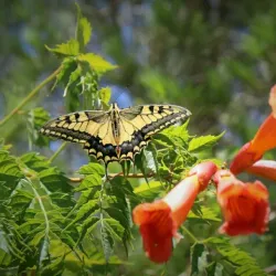 Nubl Old Town - Nubl