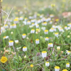 Nubl Old Town - Nubl