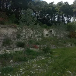 Hiking in Nearby Hills - Salqin