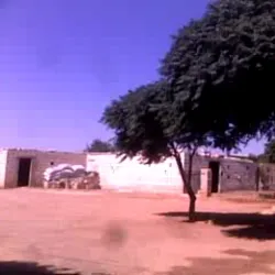 Local Mosques - Salqin