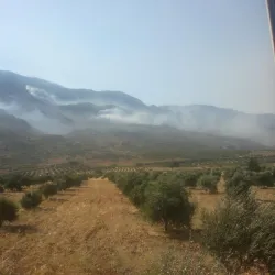 Orontes River Valley - Salqin