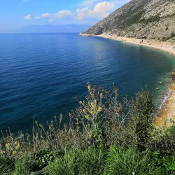 Traditional Syrian Cuisine Experiences - Salqin