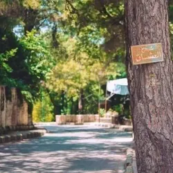 Alawite Villages Around Slinfah - Slinfah