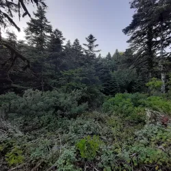 Hiking Trails Around Slinfah - Slinfah