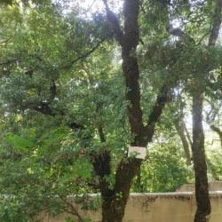 Hiking Trails Around Slinfah - Slinfah