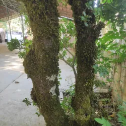 Hiking Trails Around Slinfah - Slinfah