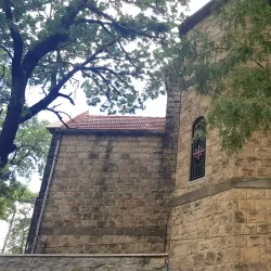 Slinfah Forests - Slinfah