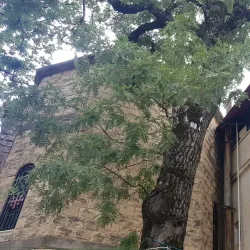 Slinfah Water Springs - Slinfah