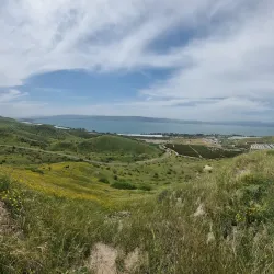 Ras al-Bassit National Park - Tartus