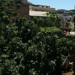 Tartus Archaeological Museum - Tartus