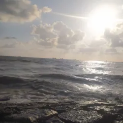 Tartus Marina - Tartus