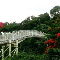 Bagua Mountain (Baguashan) - Chang-hua