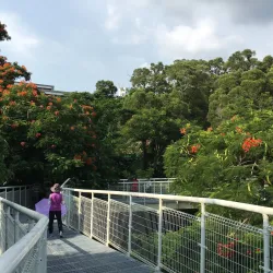 Bagua Mountain (Baguashan) - Chang-hua