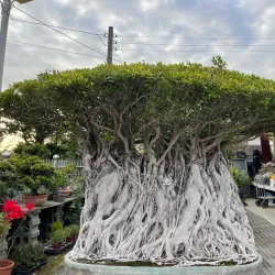 Tianwei Highway Garden - Chang-hua