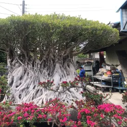 Tianwei Highway Garden - Chang-hua