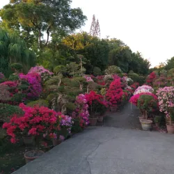 Tianwei Highway Garden - Chang-hua
