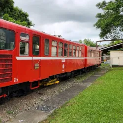 Alishan Forest Railway Garage Park - Chiayi