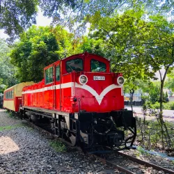 Alishan Forest Railway Garage Park - Chiayi