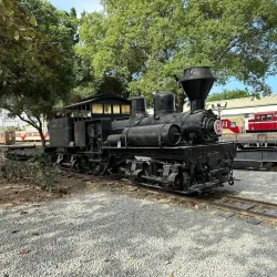 Alishan Forest Railway Garage Park - Chiayi