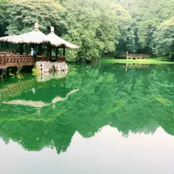 Alishan National Scenic Area - Chiayi