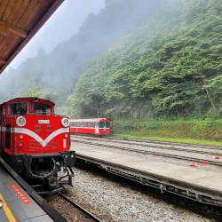Alishan National Scenic Area - Chiayi