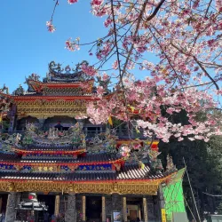 Alishan National Scenic Area - Chiayi