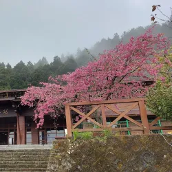 Alishan National Scenic Area - Chiayi