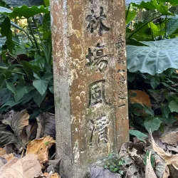 Chiayi Botanical Garden - Chiayi