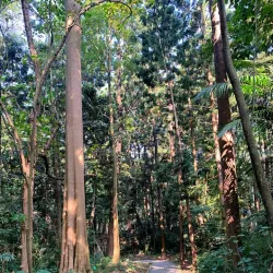 Chiayi Botanical Garden - Chiayi