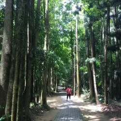 Chiayi Botanical Garden - Chiayi