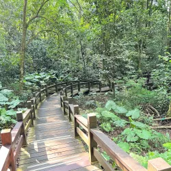 Chiayi Botanical Garden - Chiayi