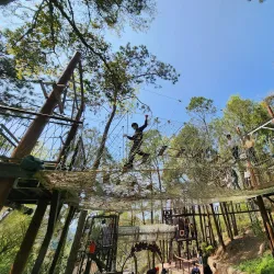 Dongshi Forest Garden - Chiayi