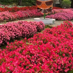 Dongshi Forest Garden - Chiayi