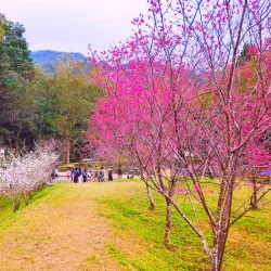 Dongshi Forest Garden - Chiayi