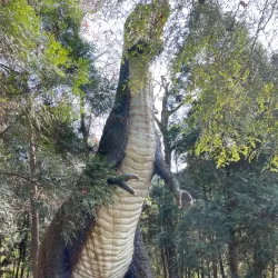Dongshi Forest Garden - Chiayi