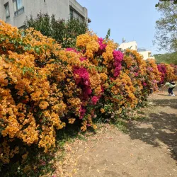 Fengyuan Riverside Park - Fengyuan