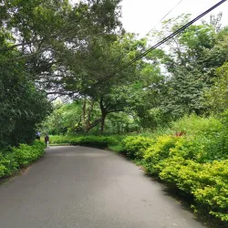 Eighteen Peaks Mountain (Shiba Fengshan) - Hsinchu