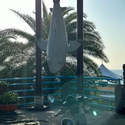 Farglory Ocean Park - Hua-lien