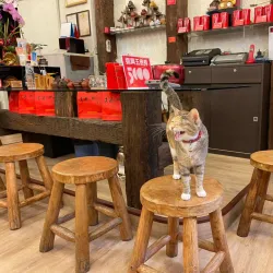 Hualien Night Market - Hua-lien