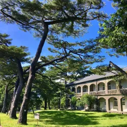 Pine Garden - Hua-lien