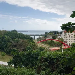 Pine Garden - Hua-lien