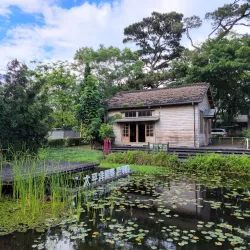 Pine Garden - Hua-lien