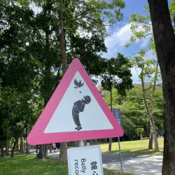 Kaohsiung Museum of Fine Arts - Kaohsiung