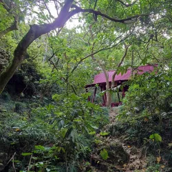 Shoushan (Monkey Mountain) - Kaohsiung