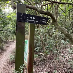 Shoushan (Monkey Mountain) - Kaohsiung