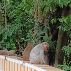 Shoushan (Monkey Mountain) - Kaohsiung